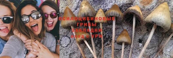 эйфоретик Сясьстрой